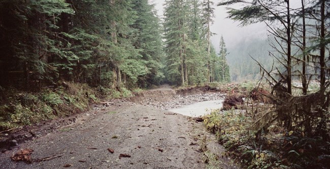 Washed out section of Carbon River Road after 2006 flood. Washed out section of Carbon River Road after 2006 flood.