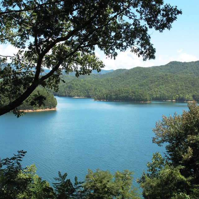 A lake surrounded by rolling hills covered in green trees.