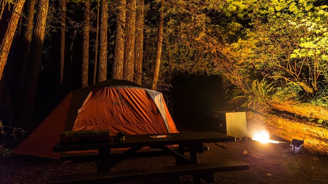 A small tents rests up against a tree background and light, at night. 