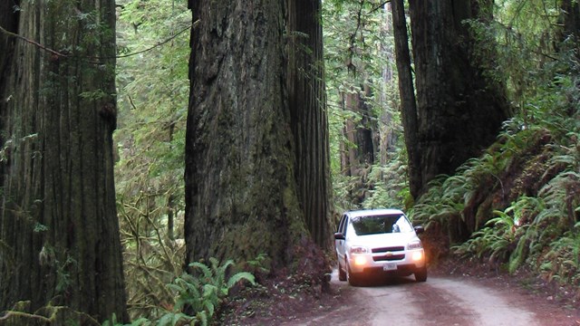 Pick the right drive for your time, vehicle and driving skills.
